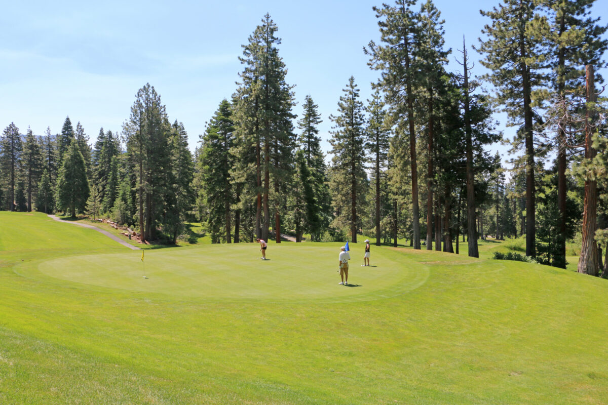 a green fiels at Mountain Golf Course