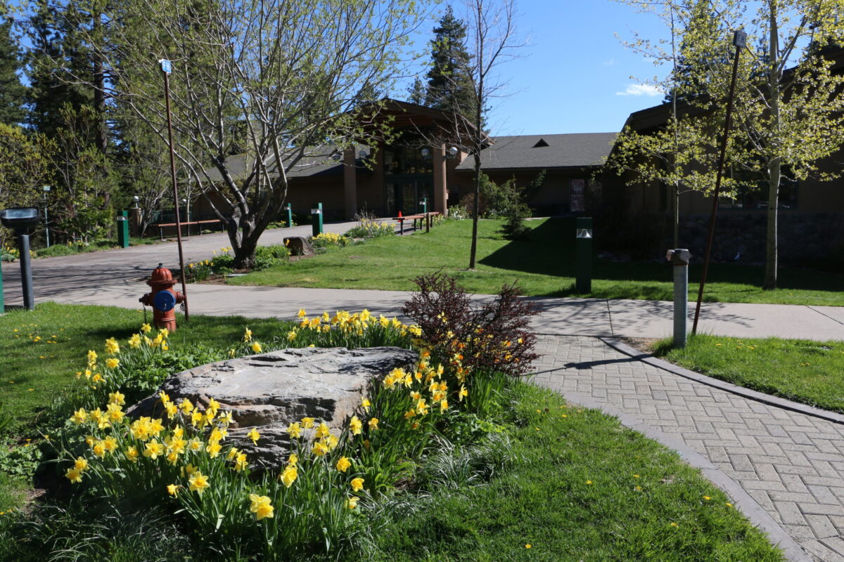 outside entrance to the rec center with blooming daffodils and green grass